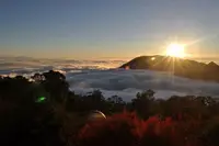 在飛比找KKday優惠-台中|大雪山國家森林遊樂區門票|平假日均可使用|免停車費