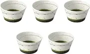 Set of 5 Oribe Ran Line Standing Pot, Small 5.4 x 3.0 inches (13.8 x 7.7 cm) | Small Bowl Setomonohonpo