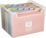 Nakabayashi Fubo I-F4C Index File Box, Document Storage Case, F4, Clear