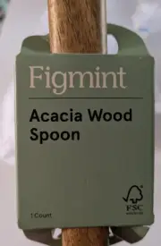 Figment Acadia Wooden Spoon