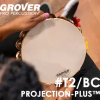 在飛比找蝦皮購物優惠-【Buffalo Music】Grover Pro Proj