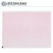 Quinton Instruments ECG EKG Z-Fold Recording Sheet Grid Paper 5 Pack(200 Sheets)