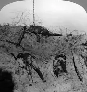 Men who fell contesting the mine crater Zouave Woods Hooge Belgium- Old Photo
