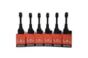 Pack of SWAN Ignition Coils & NGK Spark Plugs for Nissan Elgrand (3.5L)