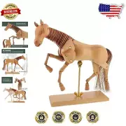Detailed 16” Horse Manikin Articulated Model - Ideal for Artists and Gifts