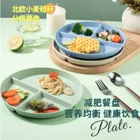 在飛比找蝦皮購物優惠-【小恒星】小麥盤子 減肥定量餐盤 3格分食餐盤 北歐風小麥秸