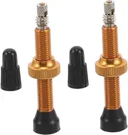 WESIEVYA 2pcs Bicycle Valve Nozzle Valve Wall-Mounted Boxing Machine Circulation Valve Stem Portable Car Equipment Boxing Machine French Valve Stem Rhythm Rod Conductive Rod Tool Car Metal