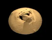 Dune Mimic - DND - Pathfinder - Dungeons & Dragons - RPG - Tabletop - mz4250- Mi