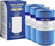 POOLPURE C-6430RA Antimicrobial Spa Filter Replaces Watkins 31489, Compatible Pleatco PWK30-M, Filbur FC-3915M, P/N0969601, 71825, 73178, 73250, 3 Pack.