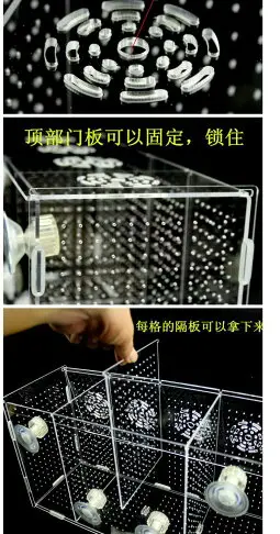 魚缸隔離網水族箱隔離盒孔雀魚仔斗魚孵化盒繁殖箱懸浮式保護小魚