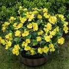 Artificial Fake Flowers for Outdoor Décor 6 Bundles UV Resistant Fake Plants ...