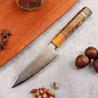 Kiritsuke Kitchen Knife Chef Slicer Meat Vegetable Fruit 67-Layer Damascus Steel