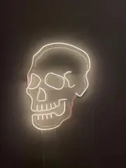 20"x16" Haunted Skull Skeleto Acrylic Neon Sign Light Real Glass With Dimmer
