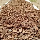 Coconut Husk CHIPS Natural Growing Media Anthurium & Hoya Plant 400g pack