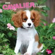 BrownTrout, Cavalier King Charles Puppies 2025 Wall Calendar