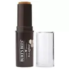 Brand New Burts Bees Bronze Splash All Aglow Bronzer Stick 0.32 OZ