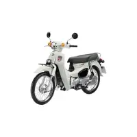 在飛比找蝦皮購物優惠-SUPER CUB 110 2021樣式 完售