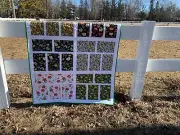Fruit Apples and Lemons handmade quilt.