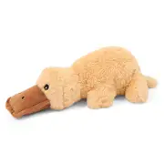 Paws For Life Heartbeat Platypus Dog Toy