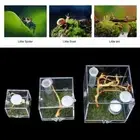 Feeder Jumping Spider Breeding Box Insect Box Spider habitat Breeding Cage