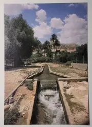 Elisha Spring - Jericho Postcard