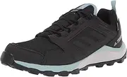 adidas outdoor Women's Terrex Agravic Tr GTX W Running Shoe
