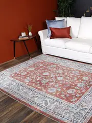 Chamber Luda Terracotta Transitional Rug