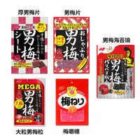 在飛比找蝦皮購物優惠-+爆買日本+ NOBEL 諾貝爾 男梅 梅片/厚梅片/大粒梅