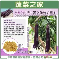 在飛比找momo購物網優惠-【蔬菜之家】大包裝G106.黑水晶茄子種子1.3克約270顆