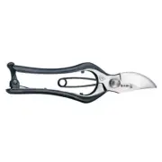 Kikuwa Seal Left -blade pruning scissors 7 inches /bonsai bonsai to From Japan