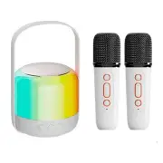 RGB LED Light Bluetooth 5.3 PA Speaker Dual Microphones KTV System 3D1424