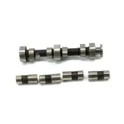 Polaris Camshaft Kit, Genuine OEM Part 2202110, Qty 1