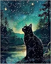 TAOPAOLAB Night Paint by Numbers Kit for Adults - DIY Black Cat by The Lake Under Starry Night Painting on Canvas 16x20 Inches, Acrylic Paint Set, Suitable for Beginners,Art for Home Decoration/Gifts