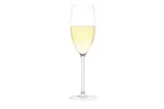 Plumm Outdoors Sparkling Unbreakable Polycarbonate Wine Glass Set (255ml) - 4 Pack
