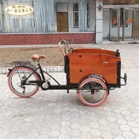 在飛比找Yahoo!奇摩拍賣優惠-歐納伯cargo bike歐式親子人力接送遛娃倒騎三輪車可定