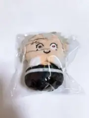 Official Demon Slayer Sanemi Shinazugawa Mini Mini Friends Mascot Plush Japan.