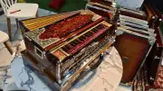 3-Line 9-Scale Harmonium, Sunburst, Custom Nameplate, Premium Sound