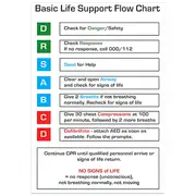 AEROGUIDE CPR Flow Chart Card 10 x 14cm