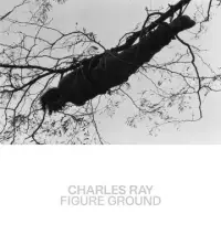 在飛比找博客來優惠-Charles Ray: Figure Ground