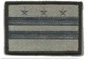 VELCRO® BRAND Fastener Morale HOOK PATCH State District of Columbia Foliage 3x2"