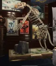 (Xbox) Megalonyx Full Set of Plans (Fossilized Bones and Display Rack)