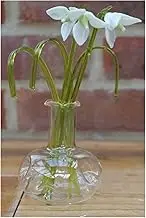 Gorgeous Glass Snowdrop Flower Display