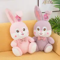 在飛比找ETMall東森購物網優惠-可愛小兔子公仔玩偶寶寶安撫生日禮物圣誕禮物兔子布娃娃毛絨玩具
