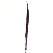 10" to 20" Golden Pheasant Side Tail Feather - Eggplant