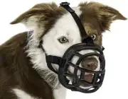 New Baskerville Ultra Basket Muzzle Size 6