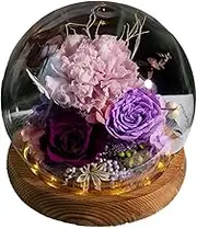 Valentine's Day Send her Eternity Rose Bouquet, Glass Dome Bouquet, Suitable for Women Gifts for mom, Grandma, Friend, Wife, Girlfriend Birthday Gift (1, Carnation Purple)