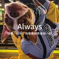 在飛比找蝦皮購物優惠-｜台灣代理｜K9 SportSack寵物背包休閒款 AIR系
