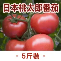 在飛比找台灣好農優惠-【旋轉木馬蔬果農場】日本桃太郎番茄5斤裝(約15-20粒)