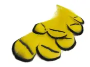 1 Dozen - Yellow Lady Amherst Pheasant Tippet Feathers Craft Mask Costume Decor