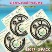 65047 - Sta-Rite™ DynaGlas ® DynaMax J Series Swimming Pool Pump Seal Kit 3-PK